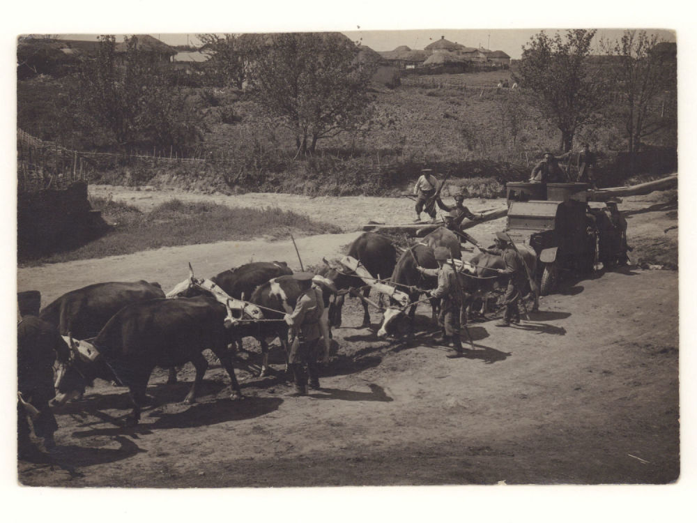 Броневик РИА вытягивает упряжка волов. Фотография Малороссия ПМВ 1914-1918 гг. Размер 11.5х16.5 
