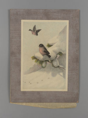 [Архив художника] Тарасов С. Н. Снегири. Оригинал иллюстрации к книге "Веселые зверушки". 