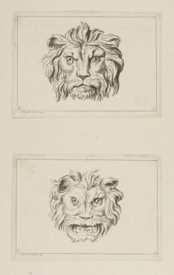 Лебрен Ш. (по рисунку), Пикарт Б. (гравер). Головы львов. Из &laquo;Трактата о выражении лица&raquo; 