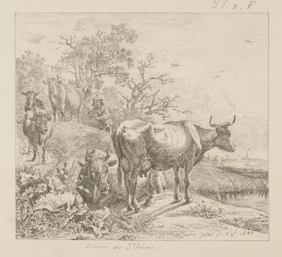 Bartholdy (гравер). Коровы. XIX век. Литография. Размер 28,5х43 см. Условно хорошее состояние. 