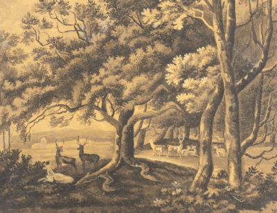 Н/х. Олени в лесу. Конец XIX века. Бумага, тушь, белила. Размер 16,5х21 см. Условно хорошее 