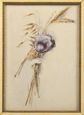 Бём Е. М. Сухоцвет. 1880-е гг. Бумага, акварель. Размер изображения 23,7х16,7 см. Размер по 