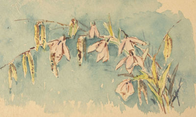 [Архив художника] Гурьев И. П. Ветка с розовыми цветами. 1920. Бумага, акварель. Размер 9,5х15,5 см.