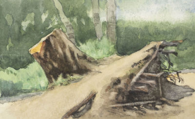 [Архив художника] Гурьев И. П. Старый пень. 1907. Бумага, акварель. Размер 9х14 см. Хорошее 