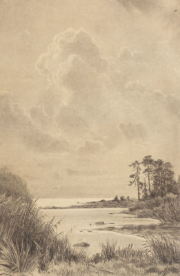 [Архив художника] Гурьев И. П. Вид на озеро. 1889. Бумага, уголь. Размер 50х32 см. Условно 