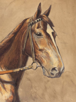 [Офицер Измайловского полка] Руммель К. А. Голова лошади. 1918. Бумага, акварель. Размер 35,5х27 см.