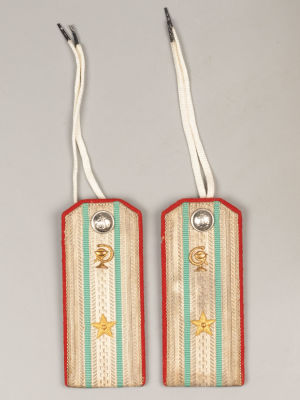 Погоны. Майор медицинской службы ВМФ образца 1943. Металлизированый. Размер 14х6 см. 
Следы 