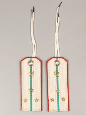 Погоны. Старший лейтенант медицинской службы ВМФ образца 1943. Шелковые. Размер 14х6 см. 
Следы 