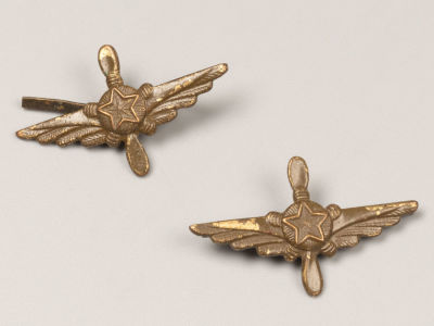 Пара полевых петлиц летчика. 1950-1970-е. Металл, литье. Размер 16х27 мм. 
Следы бытования. 