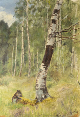 Мартынов Н. А. [по подписи] Березка. Конец XIX в. Холст на оргалите, масло. Размер 34,5х23,5 см. 