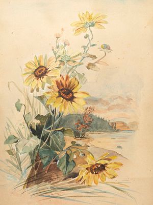 Н/х. Рудбекии на берегу озера. XIX век. Бумага на картоне, акварель. Размер 46,5х33,5 см. Условн 