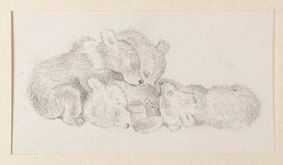 [Из коллекции П. Е. Корнилова] Горлов Д. В. Бурые медвежата спят. Середина XX в. Бумага 