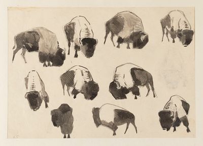 [Из коллекции П. Е. Корнилова] Горлов Д. В. Бизоны. Втор. пол. XX в. Бумага, тушь. Размер 21 