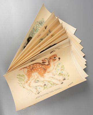 Чарушин Е. И. Разные звери. 10 репродукций. Размер листа 29х42 см. Хорошее состояние. Листы 