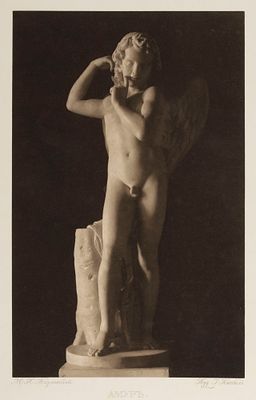Амур. Фототипия со скульптуры М. И. Козловского. Начало XX в. Размер листа 52х40,5 см. Условно 