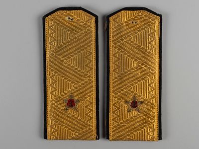 ВОВ. Пара погон контр-адмирала. Парадная форма. Образца 1943 г. Сукно, металлизированные. Размер 