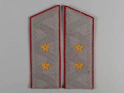 Пара погон генерал-лейтенанта МВД. Повседневные. 1950-е. Сукно, вышивка. Размер 18х6.5 см. Следы 