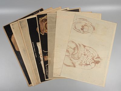 Человек. Серия таблиц по анатомии человека. М., 1936. Аршеневский Л.Н., Беляев В.А. Человек. 