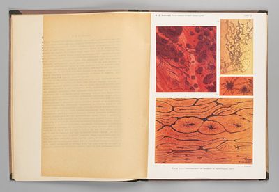 Залесский М.Д. Естественная история одного угля. Пг., 1915. Залесский М.Д. Естественная история 