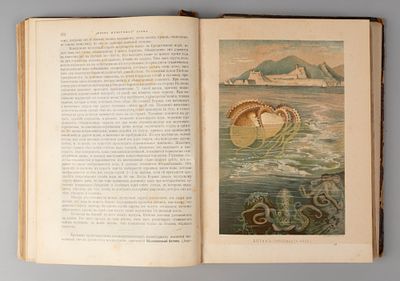 Брэм А.Э. Жизнь животных. Том 10. Ракообразные-простейшие. СПб., 1896. [Брэм А.Э. Жизнь 