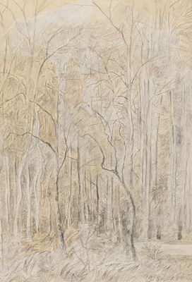 Ротач А. Л. Лесной пейзаж. 1918. Бумага, карандаш. Размер 28,7х20 см. Хорошее состояние. Следы 