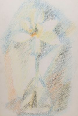 [Школа Стерлигова] Ким Н. В. Нарцисс. 2000. Бумага, пастель. Размер 37х25 см. Хорошее 