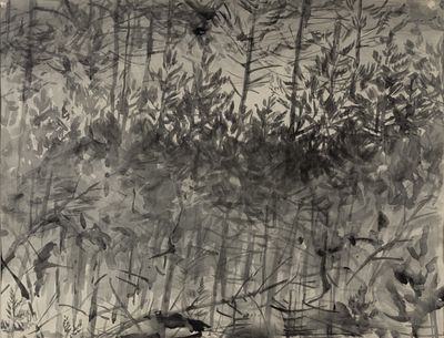 Крестовский Я. И. Глухариный ток. 1977. Бумага, тушь. Размер 48х63 см. Размер по раме 72,5х87 см. 