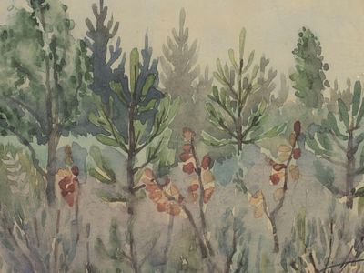 Тарасов Н. Молодые сосны. 1920-е гг.(?). Бумага, акварель. Акварель под стеклом. Размер по раме 
