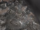 Часы кабинетные фирмы "Густав Беккер" со встроенной музыкальной шкатулкой фирмы "Братья Мармод" Изображение - 19