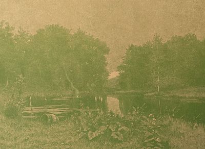 Волков Е. Е. (по оригиналу), Павлов И. Н. (гравер) Перед дождем. Приложение к журналу 