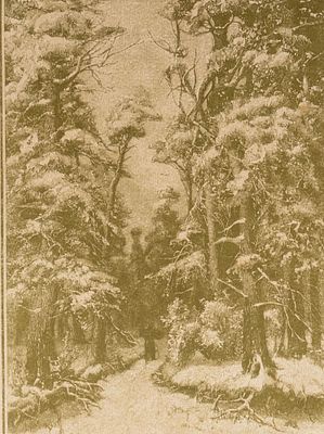 Клевер Ю. Ю. (по оригиналу), Павлов И. Н. (гравер) Зимой. Приложение к журналу &laquo;Живописное 