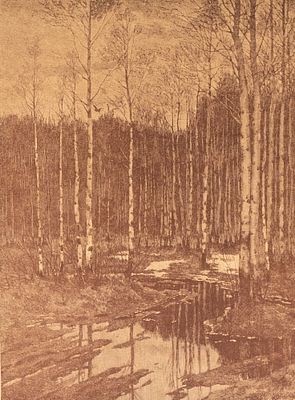Бергольц Р. А. (по оригиналу), Хелмицкий И. И. (гравер) Весенний вечер. Приложение к журналу 