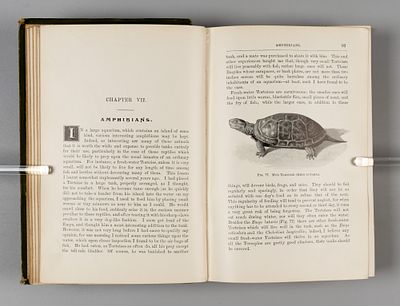 [На англ. яз. Книга об аквариуме. В 2-х частях] Bateman G.C., Bennett R. The Book of Aquaria. 