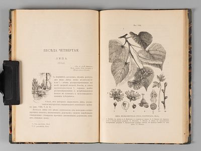 Кайгородов Д. Беседы о русском лесе. Вторая серия. Чернолесье. СПб., 1893. Кайгородов Д. Беседы 