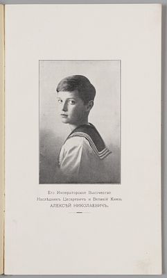 Краткий очерк постройки сухого дока цесаревича Алексея Николаевича в Кронштадте. СПб. 