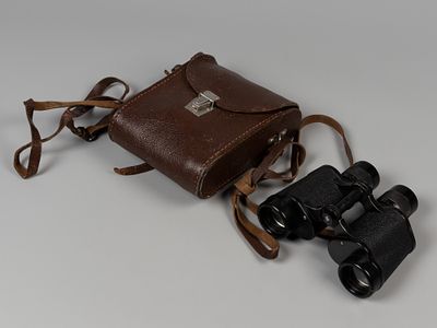 Бинокль БПП 8х30 в кожаном чехле. СССР, 1968 г. Металл, оптическое стекло. Размер чехла 16.5х5.5 