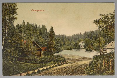 Сиверская. Цветная открытка.Начало ХХ в. Размеры 13,8х9,0 см. Хорошее состояние