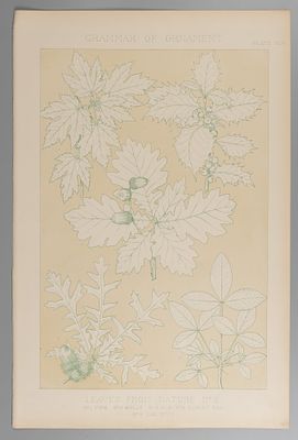 Природный орнамент. Leaves from nature № 5. Цветная литография. London, 1856. Природный