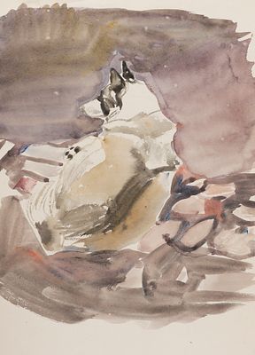Капустина Т. П. Собака спиной. 1960-1970-е гг. Бумага, акварель. Размер листа 30х21 см. Хорошее