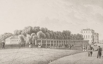 Мартынов А. Е. Решетка Летнего сада. Лист 13 из альбома &laquo;Виды Петербурга и его окрестностей&raquo;. 