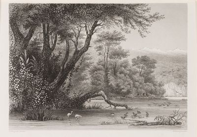 [Вселенная Майера] Берег Фазиса на Кавказе.1850-е гг. Бумага, гравюра на стали. Размер по 