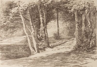 Белоусов П. П. Тропинка в лесу. 1964. Бумага, литография. Размер листа 47х62 см. Хорошее 