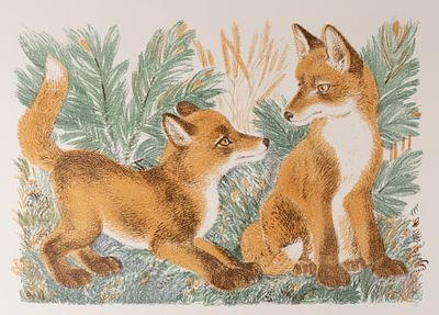 Вальцефер Ю. Два лисенка. 1980-е гг. Цв. литография. Размер листа 47х58 см. Хорошее состояние. 