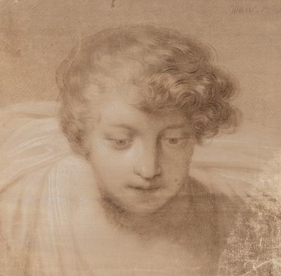 Maurer [по подписи]. Ангельская головка. Первая половина XIX века(?). Бумага верже, соус(?) 