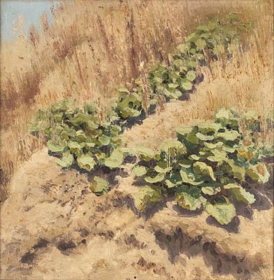 [С посмертной выставки] Сергеев Н. А. [приписывается] Берег Невы. 1902. Холст на картоне 