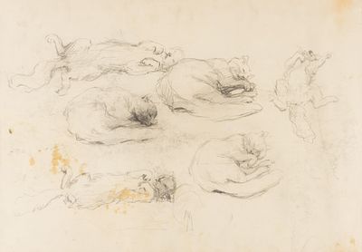 [Группа &laquo;Одиннадцать&raquo;] Рахина В. И. Наброски спящей кошки. Конец 1940-х гг. Бумага, карандаш. 