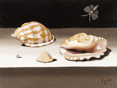 Данилова Е. А. Ракушки IV. 2024. Холст на картоне, масло. Размер 18х24 см. Хорошее состояние. 