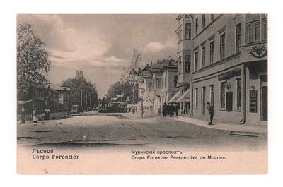 Лесной. Муринский проспект. Открытка. Начало ХХ в. Издание "Ришар" Ст.Петербург №912. 