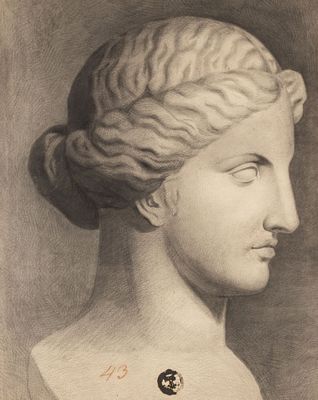 Габерцеттель Ф. И. Голова Афродиты. Рисунок с гипсового слепка. Конец XIX века. Бумага 