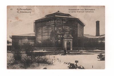 С.-Петербург 41. Ботанический сад. Кальмариус. Открытка. Начало ХХ в. Издание К.П. Леонтьева 